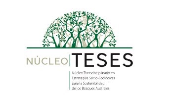 logo-teses